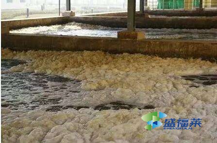 養殖場污水處理用什么藥劑