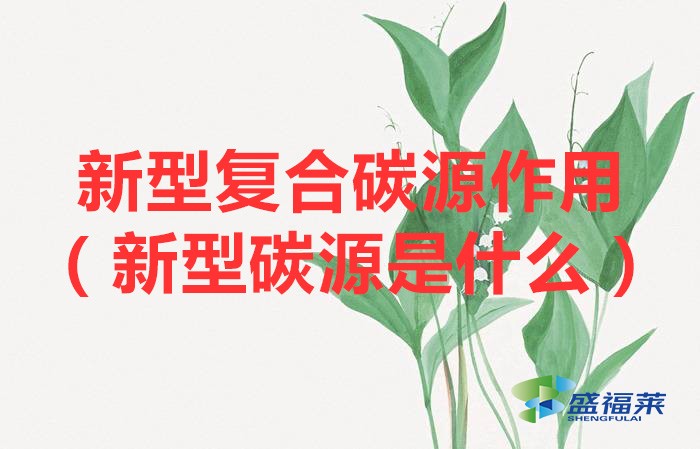 新型復(fù)合碳源作用（新型碳源是什么）