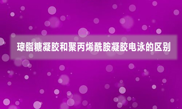 瓊脂糖凝膠和聚丙烯酰胺凝膠電泳的區別
