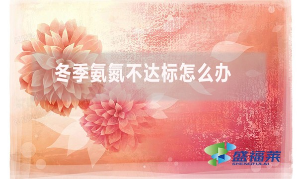 冬季氨氮不達標怎么辦？