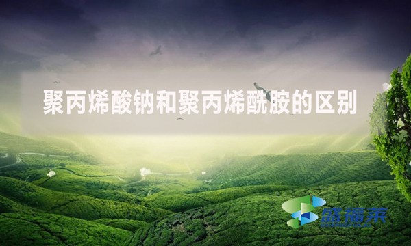 聚丙烯酸鈉和聚丙烯酰胺的區別？