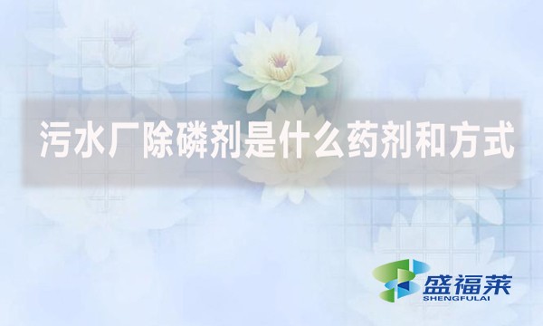 污水廠除磷劑是什么藥劑和方式?