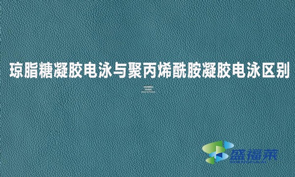 瓊脂糖凝膠電泳與聚丙烯酰胺凝膠電泳區別?