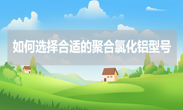 如何選擇合適的聚合氯化鋁型號(hào)？