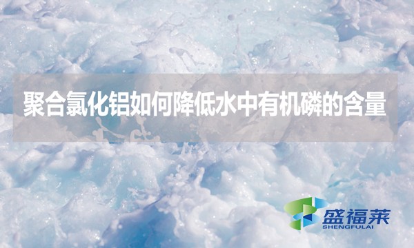 聚合氯化鋁如何降低水中有機磷的含量？