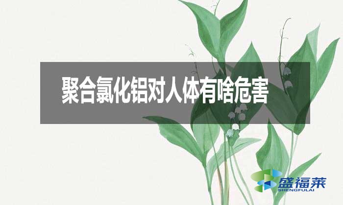 聚合氯化鋁對人體有啥危害？