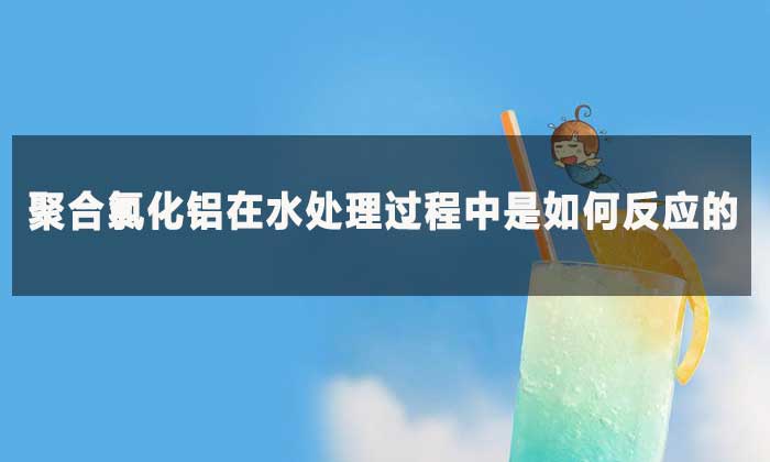 聚合氯化鋁在水處理過程中是如何反應的?