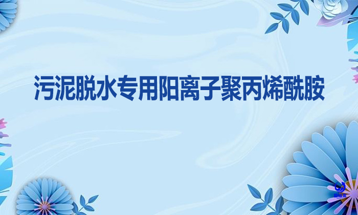 污泥脫水專用陽離子聚丙烯酰胺脫泥效果是真的好