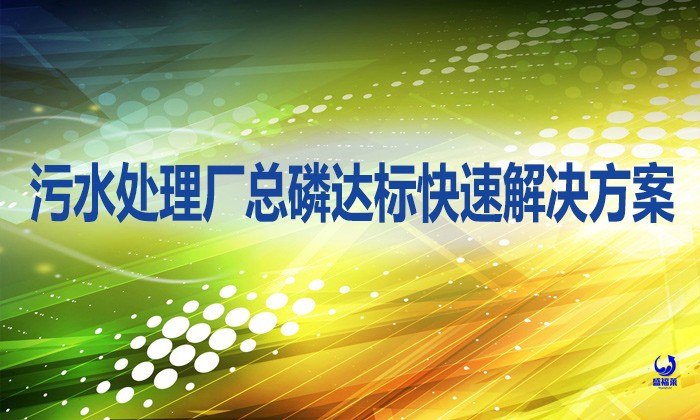 污水處理廠總磷達標快速解決方案